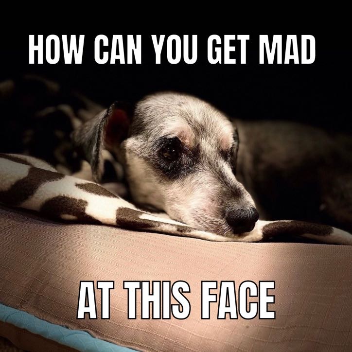 This Face Meme